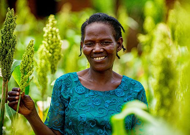 Climate and gender inequality